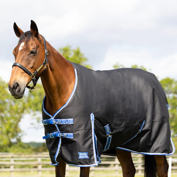 StormX Empra Extra 100g Turnout Rug image 3